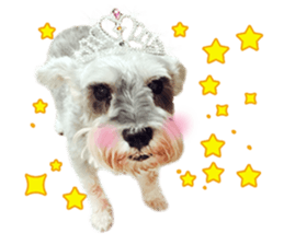 MY DOG LITTLE FAT sticker #15070294