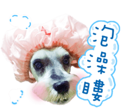 MY DOG LITTLE FAT sticker #15070297