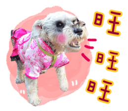 MY DOG LITTLE FAT sticker #15070298