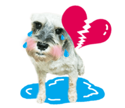 MY DOG LITTLE FAT sticker #15070299