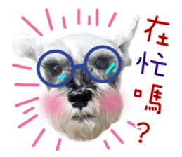 MY DOG LITTLE FAT sticker #15070300