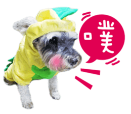 MY DOG LITTLE FAT sticker #15070301
