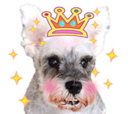 MY DOG LITTLE FAT sticker #15070302