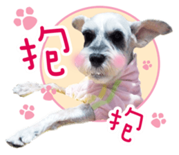 MY DOG LITTLE FAT sticker #15070303