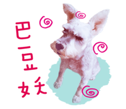 MY DOG LITTLE FAT sticker #15070304