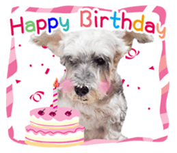 MY DOG LITTLE FAT sticker #15070305