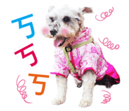 MY DOG LITTLE FAT sticker #15070306