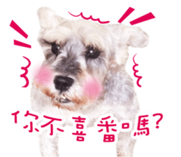 MY DOG LITTLE FAT sticker #15070307