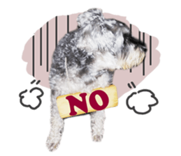 MY DOG LITTLE FAT sticker #15070308