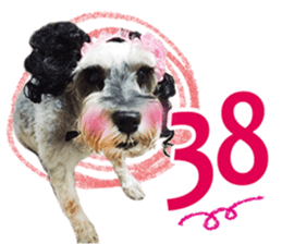 MY DOG LITTLE FAT sticker #15070309