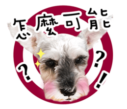 MY DOG LITTLE FAT sticker #15070310