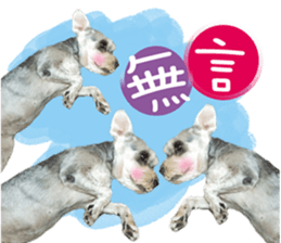 MY DOG LITTLE FAT sticker #15070311