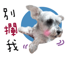 MY DOG LITTLE FAT sticker #15070312