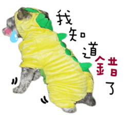 MY DOG LITTLE FAT sticker #15070313