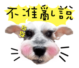 MY DOG LITTLE FAT sticker #15070314