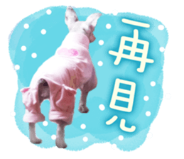 MY DOG LITTLE FAT sticker #15070315