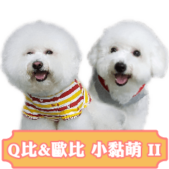 Bichon Frise~Q bi & O bi Part2