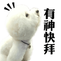 Bichon Frise~Q bi & O bi Part2 sticker #15071469