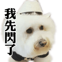 Bichon Frise~Q bi & O bi Part2 sticker #15071472