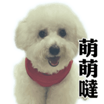 Bichon Frise~Q bi & O bi Part2 sticker #15071478