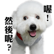 Bichon Frise~Q bi & O bi Part2 sticker #15071488