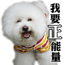 Bichon Frise~Q bi & O bi Part2 sticker #15071489