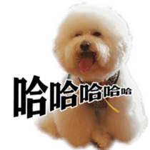 Bichon Frise~Q bi & O bi Part2 sticker #15071491
