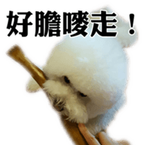 Bichon Frise~Q bi & O bi Part2 sticker #15071495
