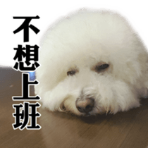 Bichon Frise~Q bi & O bi Part2 sticker #15071497