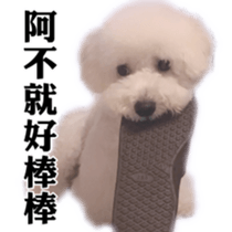 Bichon Frise~Q bi & O bi Part2 sticker #15071502