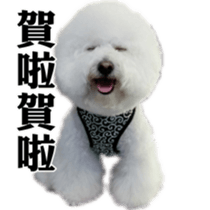 Bichon Frise~Q bi & O bi Part2 sticker #15071505