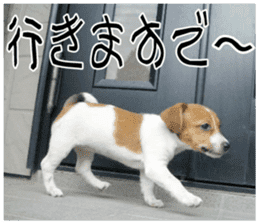 MIEDOG Jack Russell terrier sticker 11 sticker #15072090