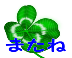 Heart mark four leaf clover sticker #15072304