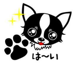 chihuahua-talk sticker #15073754