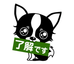 chihuahua-talk sticker #15073756