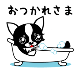 chihuahua-talk sticker #15073763