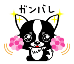 chihuahua-talk sticker #15073765