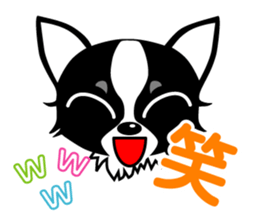 chihuahua-talk sticker #15073767