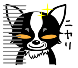 chihuahua-talk sticker #15073769