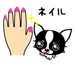 chihuahua-talk sticker #15073773