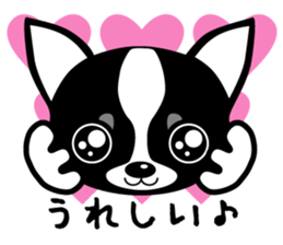 chihuahua-talk sticker #15073779