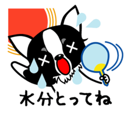 chihuahua-talk sticker #15073785