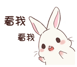 Hachito Mouse Life_2 sticker #15073904