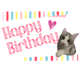 cat of cure congratulations Cheering sticker #15075428