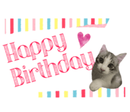 cat of cure congratulations Cheering sticker #15075428