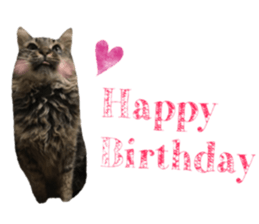 cat of cure congratulations Cheering sticker #15075429