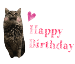 cat of cure congratulations Cheering sticker #15075429