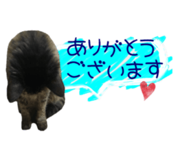 cat of cure congratulations Cheering sticker #15075434