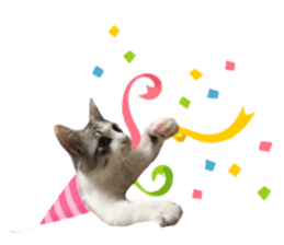 cat of cure congratulations Cheering sticker #15075436