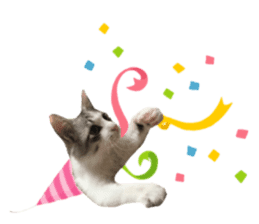 cat of cure congratulations Cheering sticker #15075436